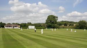 Image result for Northchurch Football Club