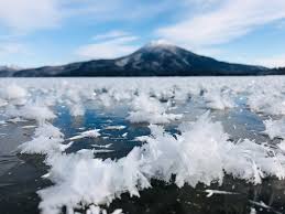 Attēlu rezultāti vaicājumam “Frost Flowers”