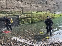 Image result for Chelsea & Fulham Sub-Aqua Club