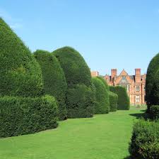 Image result for University of York