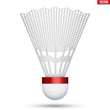 Image result for Shuttles Badminton Club (Frome)