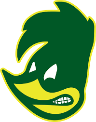 Image result for Flava Netball Club