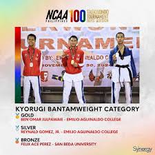 Image result for Synergy Tae Kwon Do