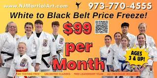 Image result for Martial Arts New Jersey