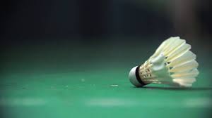 Image result for Eden Badminton Club
