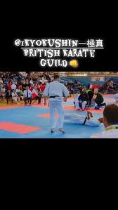Image result for ENGLISH INTERNATIONAL ALLSTYLES TAEKWONDO