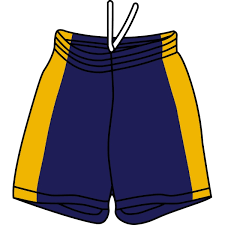 Image result for Kardale Senior & St Albans Jnr Netball Club