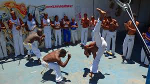 Image result for Brazilian-martial arts