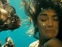 piranha 3d