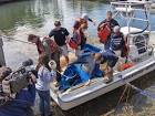 TV film crew at manate rescue - via Daymix