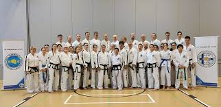 Image result for I T F Taekwondo (Andover)