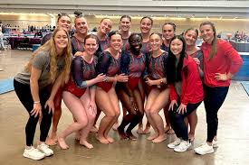 Image result for York University Gymnastics Club