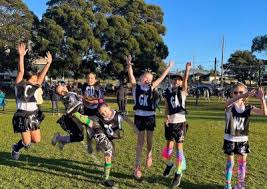 Image result for Ledbury Magpies Netball Club