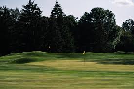 Image result for Flint Golf Club