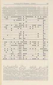 Attēlu rezultāti vaicājumam “Paramesus obtusifrons”