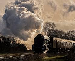 Image result for Ramsbottom Rams