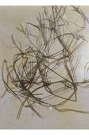 Attēlu rezultāti vaicājumam “Stuckenia filiformis bud”