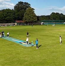 Image result for Fincham Cricket Club