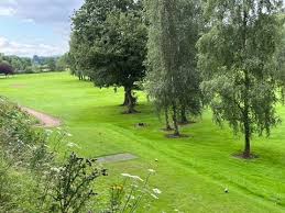 Image result for Avro Golf Club