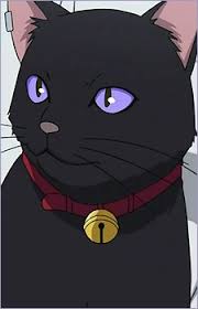 「カリーナ・モク DARKER THAN BLACK -黒の契約者-」の画像検索結果