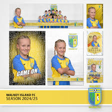 Image result for Walney Island Football Club