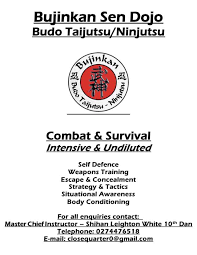 Image result for Bujinkan Truro Dojo
