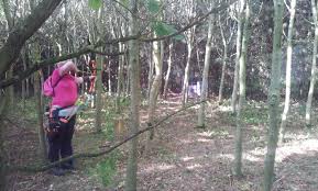 Image result for Lyme Valley Archers