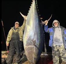 Image result for Newhaven Deep Sea Anglers