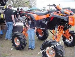 Image result for Wheelin' Wheelers