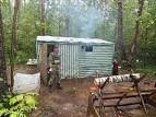living in a forest