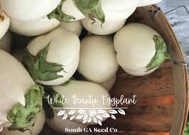 Afbeeldingsresultaat voor bianca a uovo eggplant