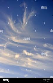 Attēlu rezultāti vaicājumam “Cirrus fibratus”