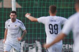 Image result for sényő