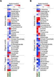 Bildergebnis für "Sebastian Kempa"