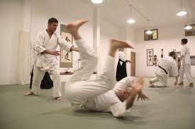Image result for Harold Hill Aikido Club