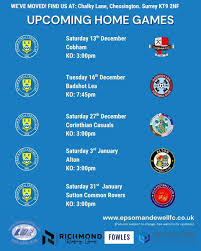 Image result for Epsom & Ewell Football Club