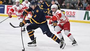 Image result for Queens University Belfast Mens Hockey Club