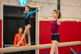 Image result for Harlequin Gymnastics Club