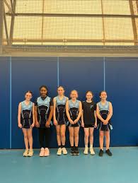Image result for Plymouth Civil Service Netball Club