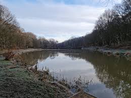 Image result for Cobham Court Angling Club
