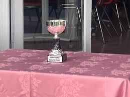 Image result for Trelewis Welfare Bowls Club