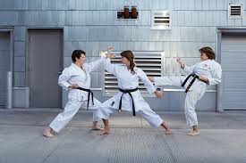 Image result for Shotokan Karate