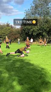 Image result for Littleborough Amateur Rugby League Football Club