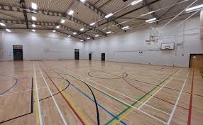 Image result for Sports Centre Netball