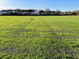 Image result for Gidea Park & Romford Cricket Club