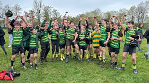 Image result for Effingham and Leatherhead Rfc