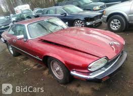 Image result for Flamenco 1993 Jaguar