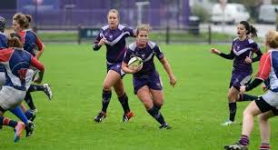 Image result for Harpenden Rugby Club