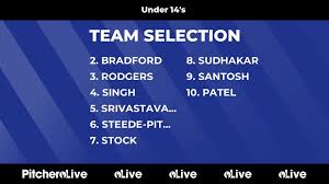 Image result for Southern Railway & Kenley Cricket Club