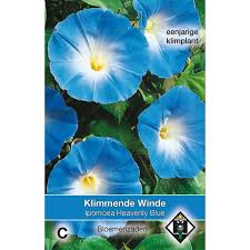 Image result for Ipomoea Heavenly Blue